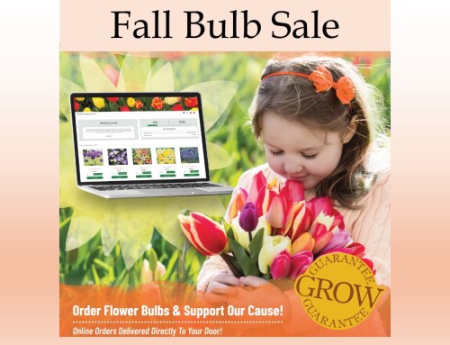 2026 Fall Bulb Sale